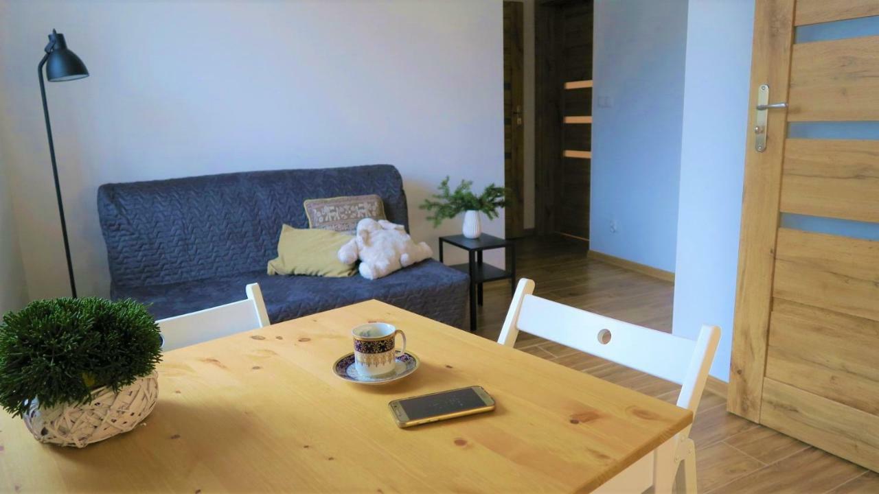 Apartamenty Siostra I Siostra Laziska  Екстер'єр фото